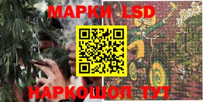 ECSTASY Гай