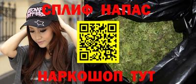 spice Гатчина
