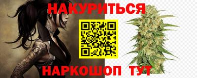 spice Гатчина