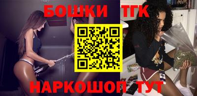 spice Гатчина