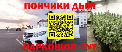 молекула духа Гагарин