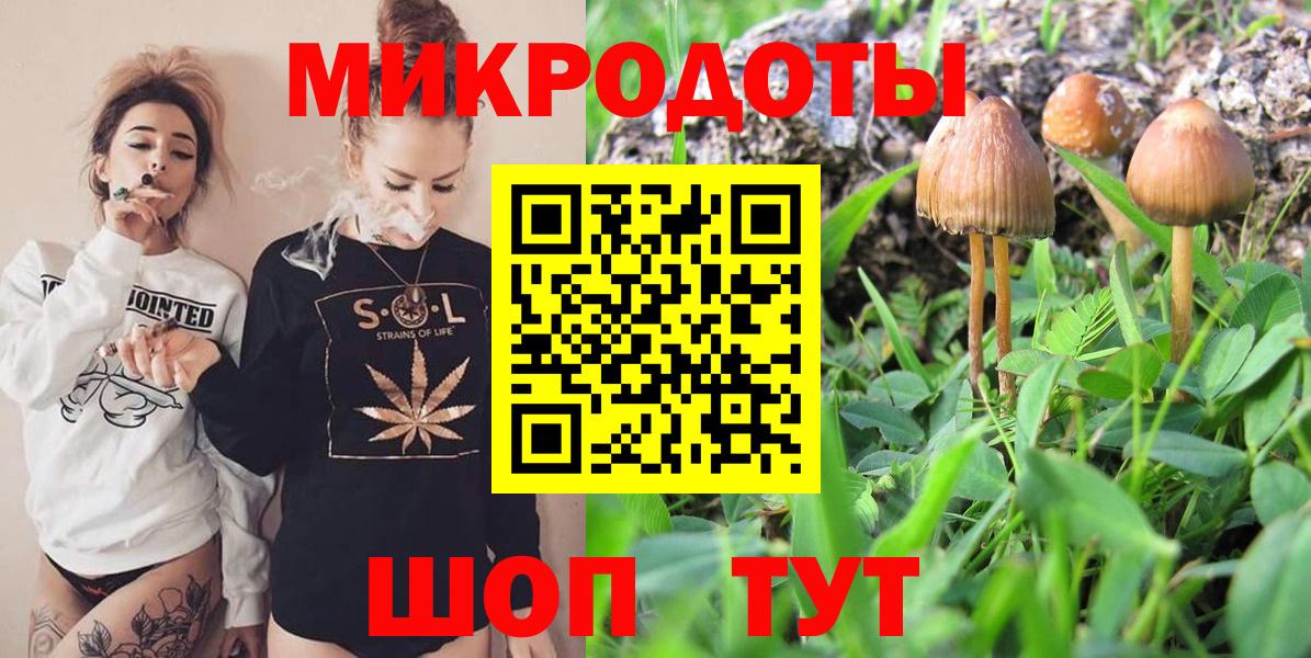 Галлюциногенные грибы GOLDEN TEACHER Россошь