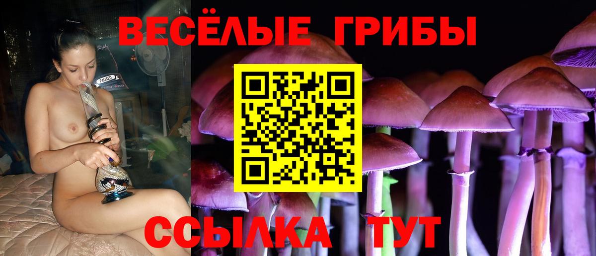 Псилоцибиновые грибы Cubensis  Вход с VPN  Галлюциногенные грибы ЛСД  Россошь 